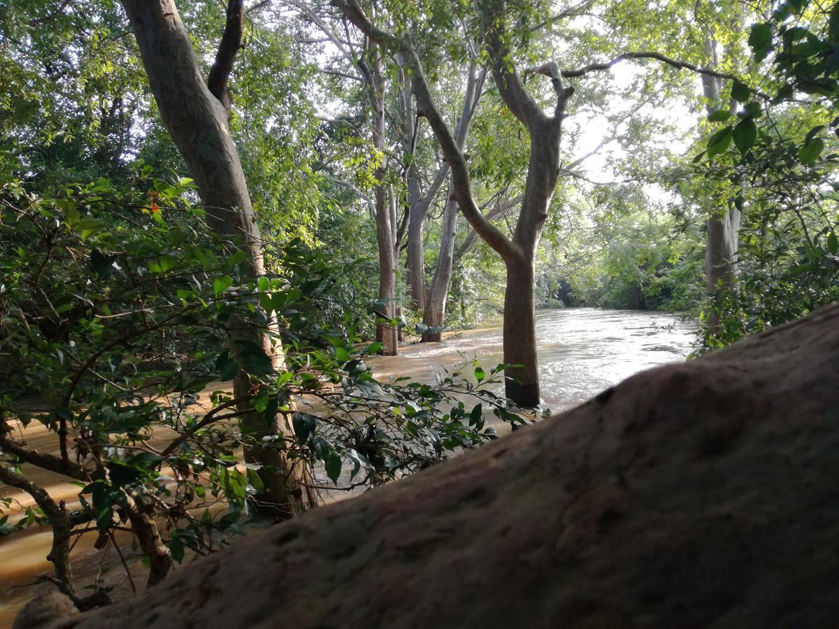 Induwara Safari Resort Udawalawe Εξωτερικό φωτογραφία